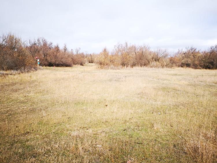 Teren agricol extravilan de 20000 mp, în Tudor Vladimirescu