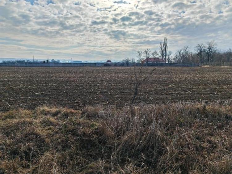 Teren Construcții intravilan de 10000 mp, în Vest