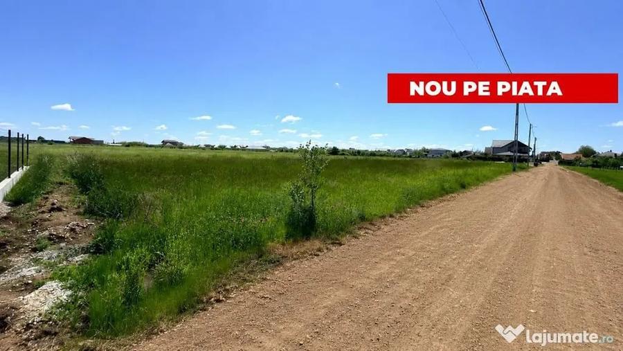 Teren în Bradu
