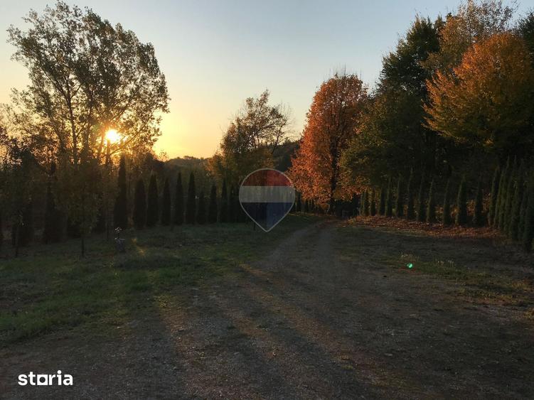 Spațiu comercial, de 280 mp, în Remeți