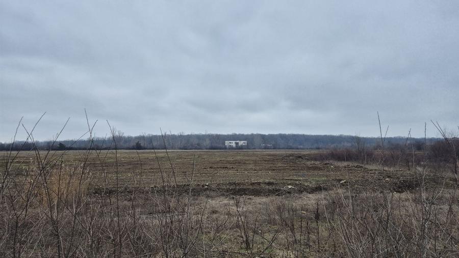 Teren Construcții intravilan de 49309 mp, în Mogoșoaia