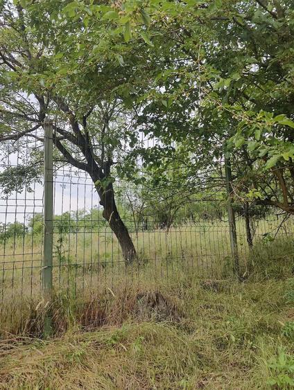 Casă cu 2 camere cu Teren 1800 Mp în Central