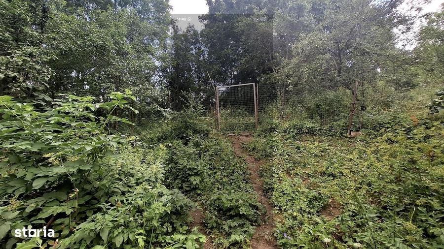 Casă cu 2 camere în Borzești