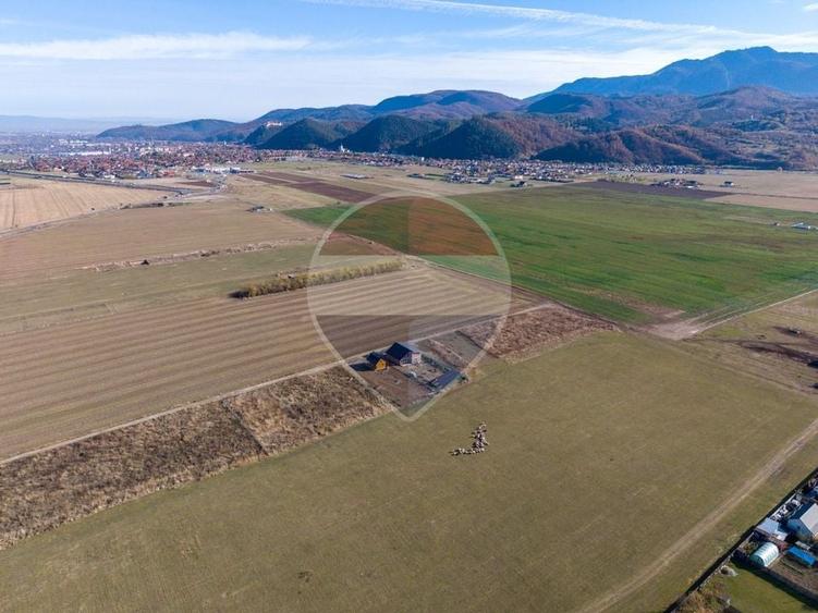 Teren Construcții intravilan de 1000 mp, în Pănicel
