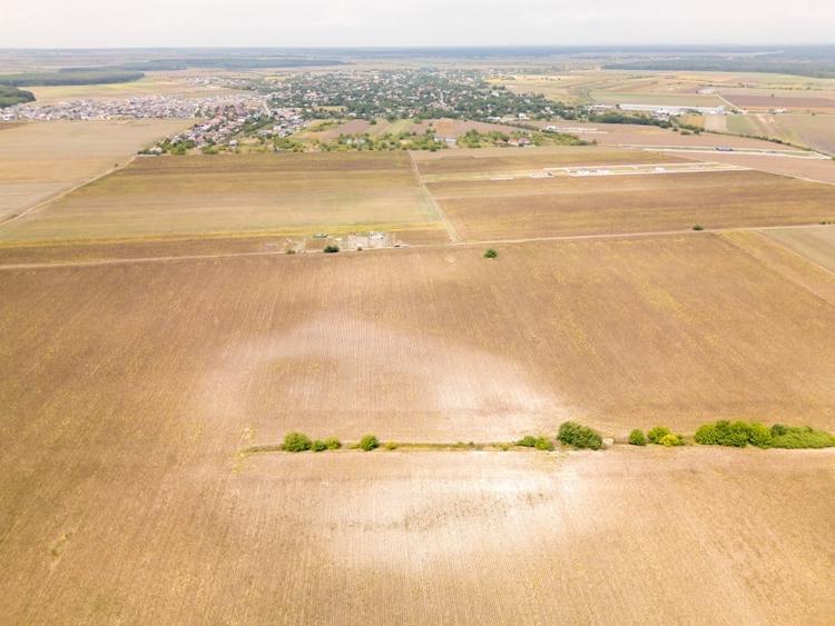 Teren Construcții intravilan de 11332 mp, în Dascălu