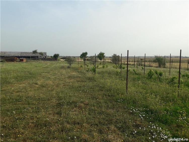 Teren de 11400 mp, în Nord