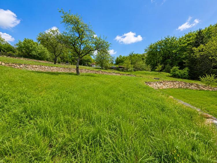 Teren Construcții intravilan de 3900 mp, în Făget