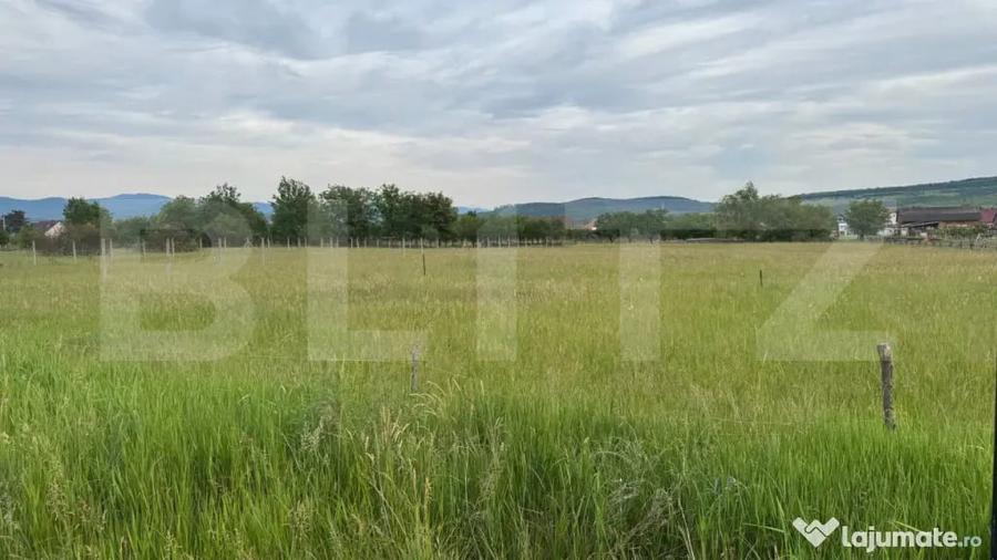 Doua parcele a cate 1100 mp de teren intravilan in Livezile - 1