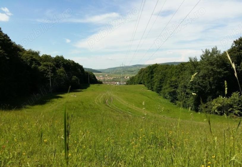 Teren Construcții intravilan de 17243 mp, în Grigorescu