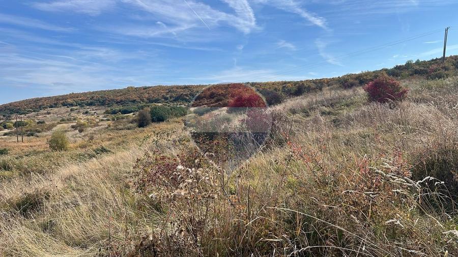Teren agricol extravilan de 2900 mp, în Gheorghieni
