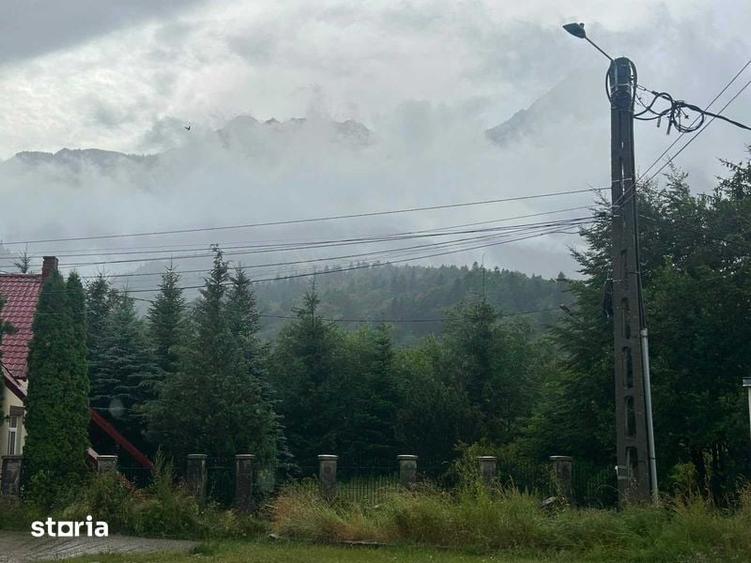 Teren de vanzare 1500 mp Busteni l Vedere libera - 6