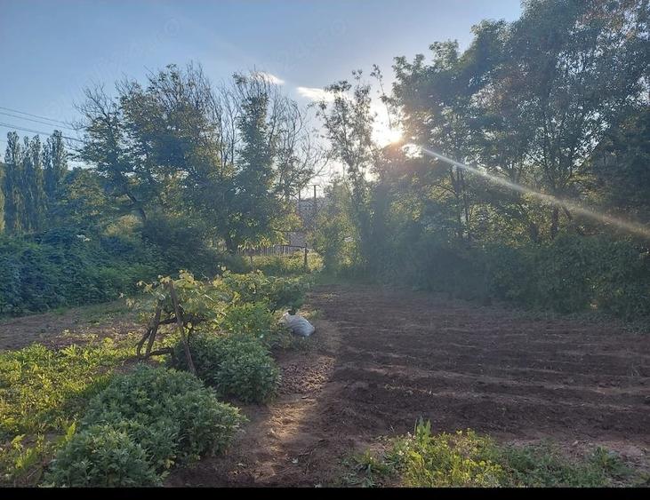 Casă cu 3 camere cu Teren 1200 Mp în Goruia