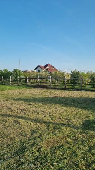 Teren de 801 mp, în Frumușeni
