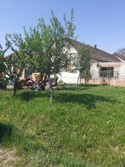 Teren de 300 mp, în Frumușeni