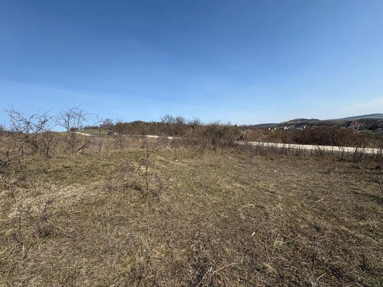 Teren Construcții intravilan de 5800 mp, în Crișeni