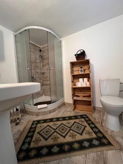 Casă individuală cu 4 camere cu Teren 20000 Mp în Hangu