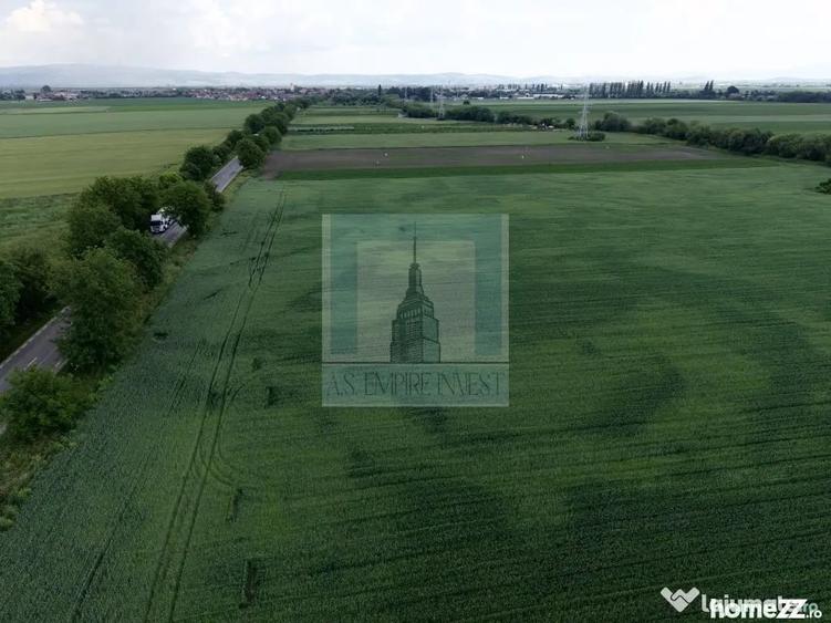 Teren de 50000 mp, în Hălchiu