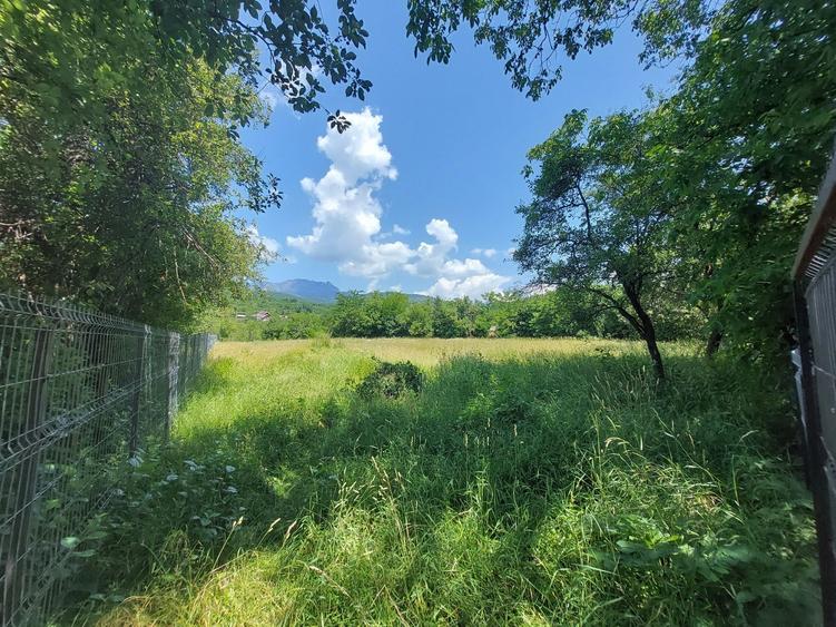 Teren de 3700 mp, în Jiblea Nouă