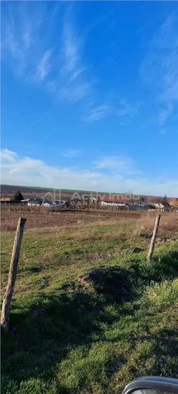 Teren de 1392 mp, în Odaia Manolache