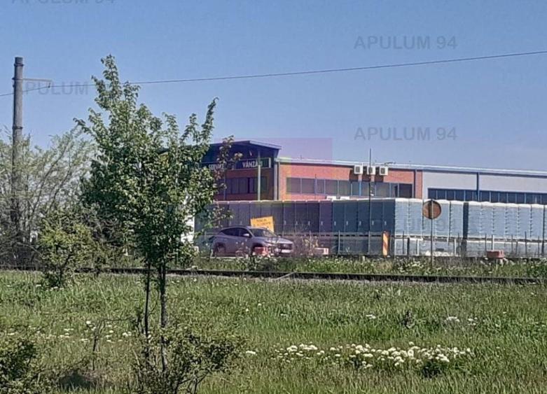 Teren Construcții intravilan de 29000 mp, în Est