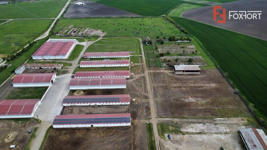 Teren Construcții intravilan de 58340 mp, în Peciu Nou