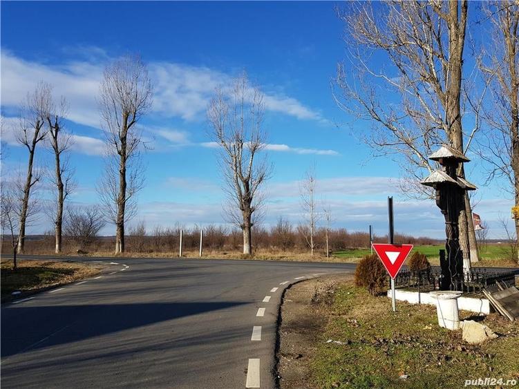 3660 metri teren in Ciolpani, Silistea Snagovului, Ilfov - 8