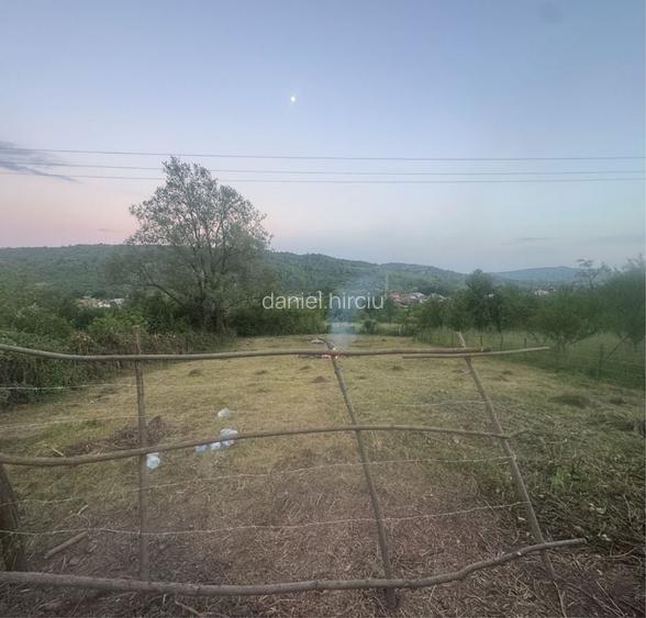 Teren intravilan Oras Fieni