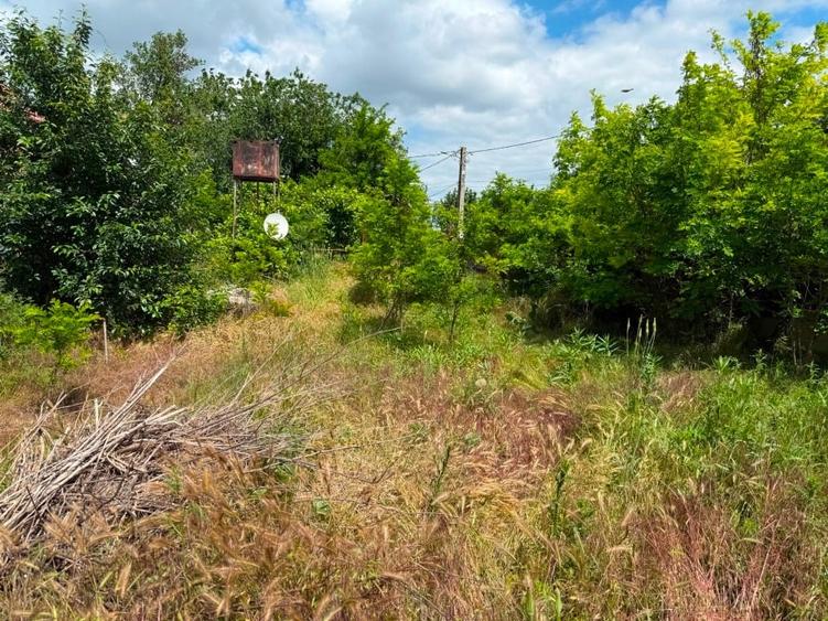 Casă cu 4 camere cu Teren 1030 Mp în Ograda