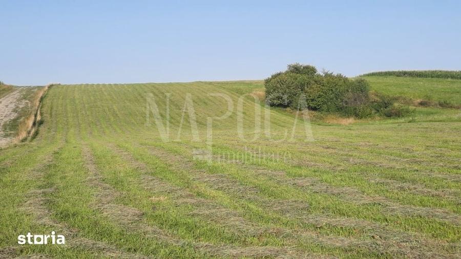 Teren de 7500 mp, în Ciurila