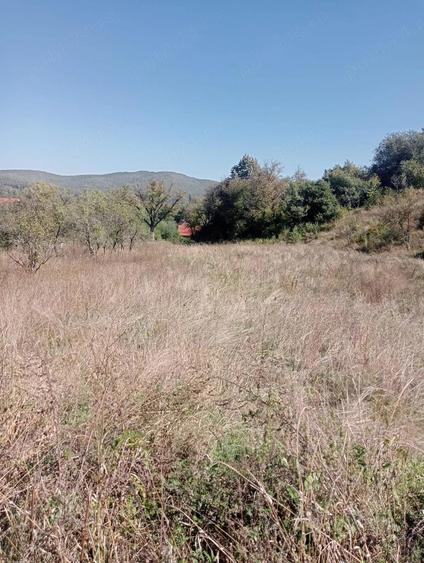 Teren de 500 mp, în Moigrad-Porolissum