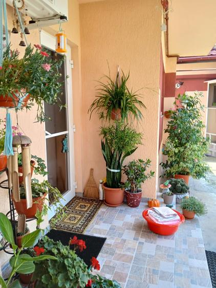 Casă cu 8 camere cu Canalizare în Voluntari