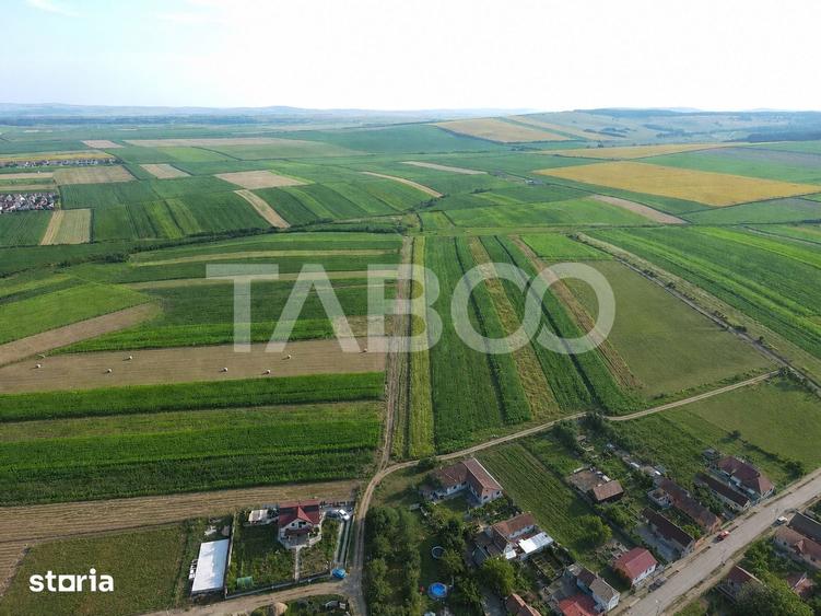 Teren de 10055 mp, în Șura Mică