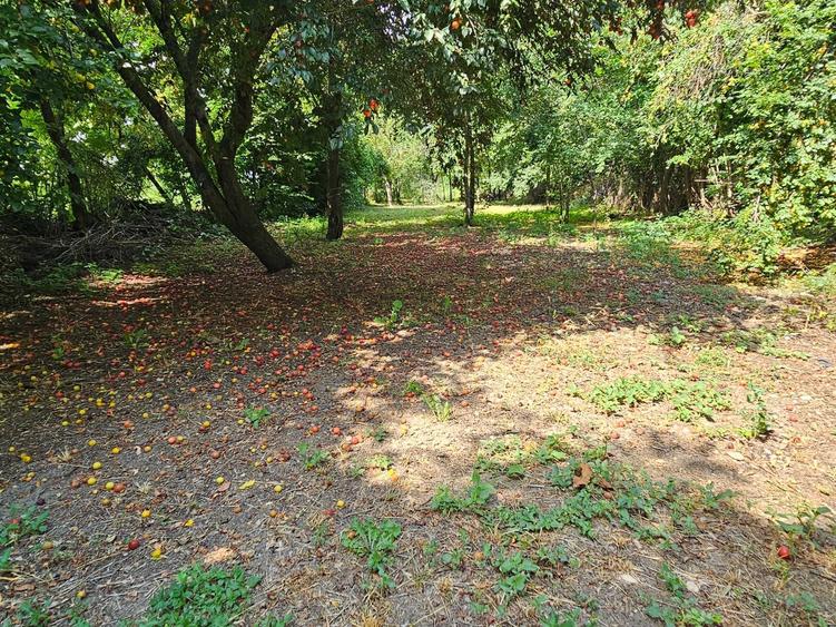 Casă cu 2 camere în Gheboaia