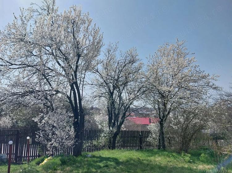 Casă cu 2 camere cu Teren 1265 Mp în Cartojani