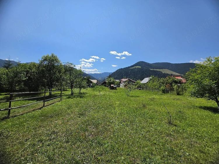 Teren 1350mp - Borca - poaiana Sabasei -Intravilan