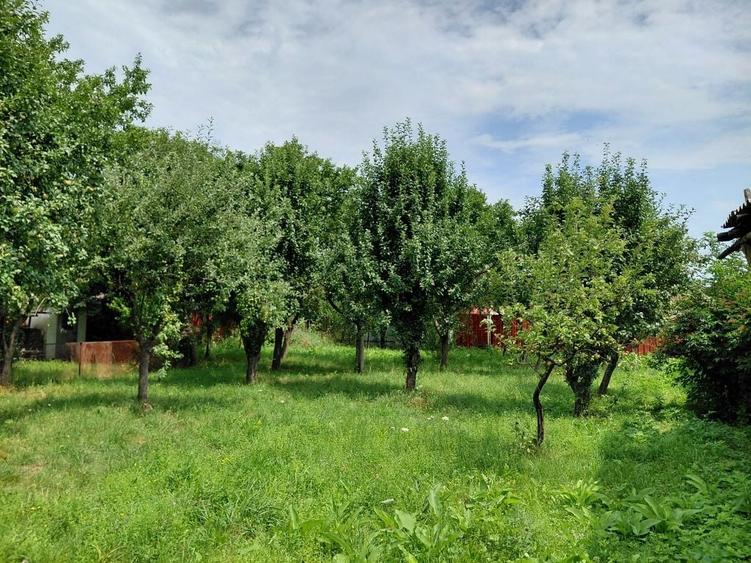 Casă cu 2 camere în Vulcan