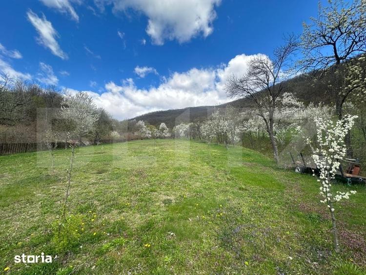 Casă cu 4 camere cu Teren 12186 Mp în Rapoltu Mare