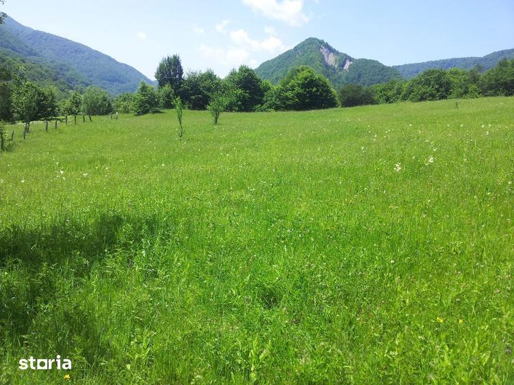 Teren de 73000 mp, în Siriu