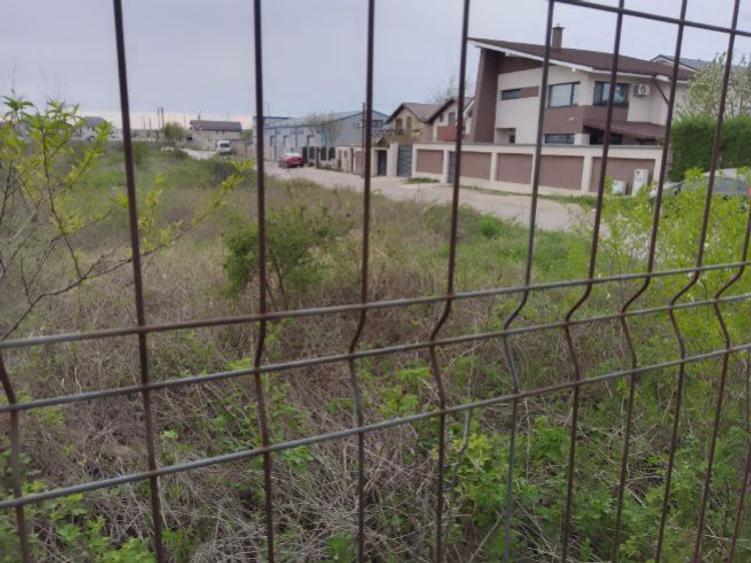 Teren intravilan de 12000 mp, în Cornetu