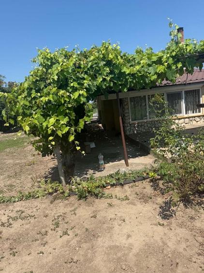 Casă cu 3 camere în Olteni