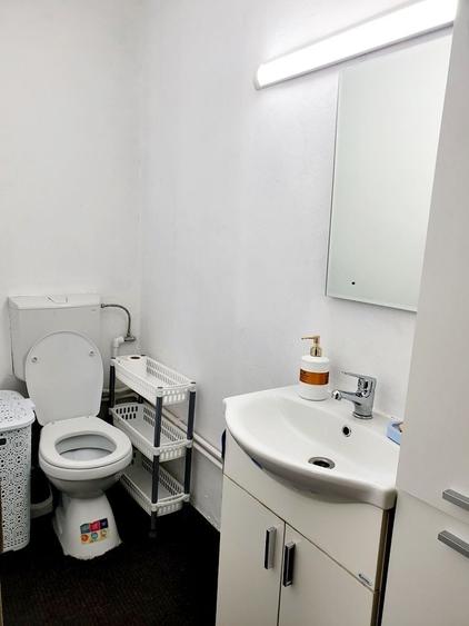 Casă individuală cu 18 camere cu Canalizare în Lipovei