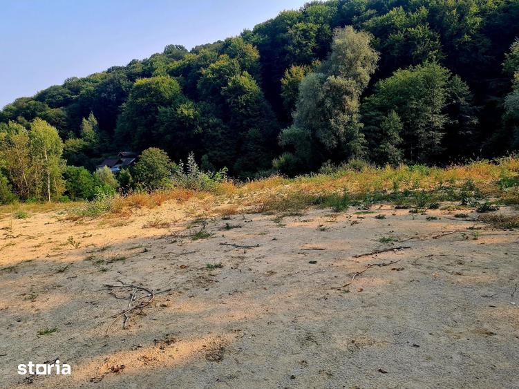Teren de 453 mp, în Bujoreni