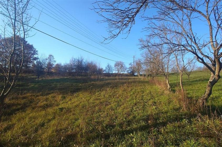Teren Construcții intravilan de 3282 mp, în Luncoiu de Sus