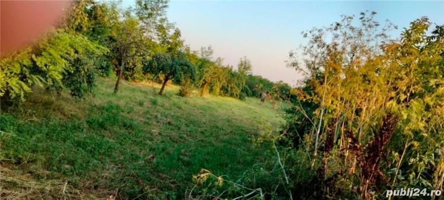 Teren în Măgurele