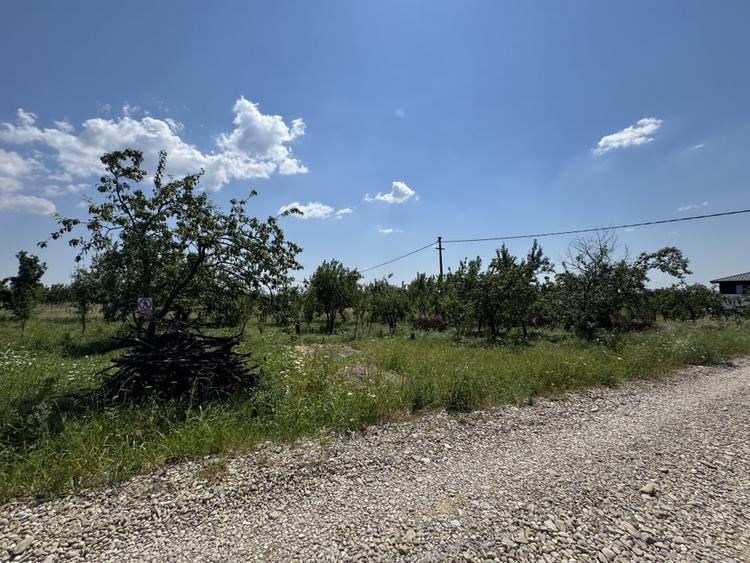 Teren Construcții intravilan de 565 mp, în Cocoșești