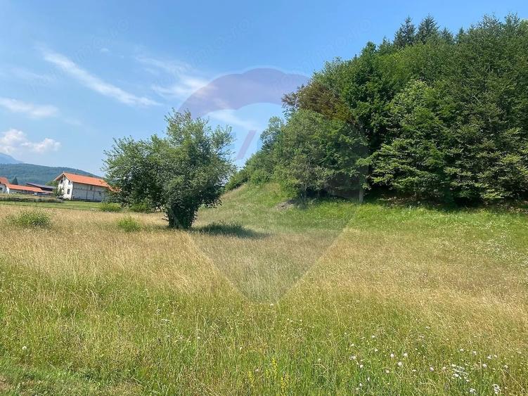 Teren de 4306 mp, în Vama Buzăului
