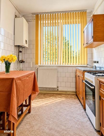 Apartament cu 2 camere semidecomandat în Calea Severinului