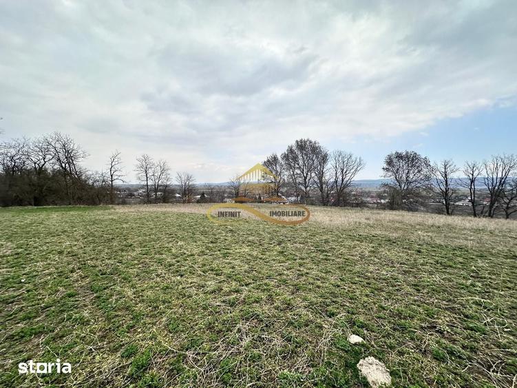 Teren de 11021 mp, în Blăgești