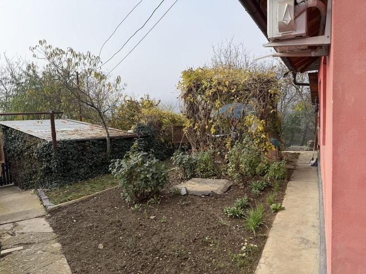 Casă cu 3 camere în Central