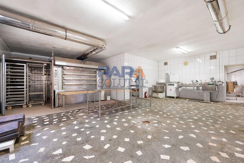 Spațiu industrial, de 380 mp, în Pildești